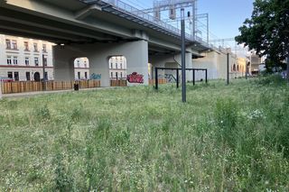 Park Kolejowy w Krakowie - 19 czerwca 2025 r.