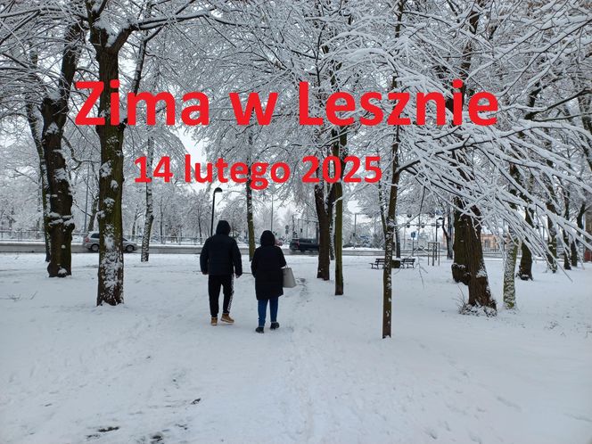 Leszno wygląda bajkowo! Na walentynki sypnęło śniegiem