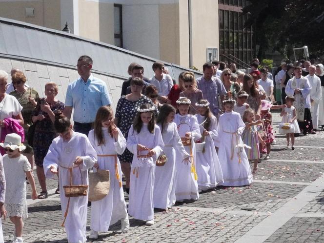 Procesja Bożego Ciała w Katowicach