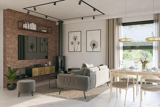 Projekt Przebojowy A3N: A111aN+AR3 to projekt A111aN