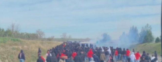 Dwustu chuliganów zgotowało im PIEKŁO na drodze. Podpalili samochody, niszczyli wszystko
