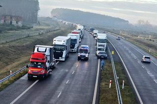 Totalna demolka pod Kołobrzegiem. Zmasakrowane auta i wielu rannych!