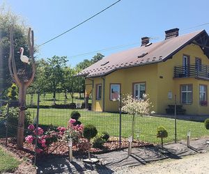 Duda przyłożył mi pistolet do głowy. Błagał go o życie. Przeżył dzięki opatrzności