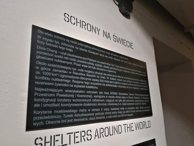 Za czym kolejka ta stoi? Tłumy krakowian na Nocy Muzeów 2023!
