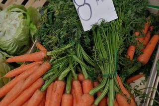 Ceny nowalijek na krakowskich targowiskach. Ile zapłacimy za młode warzywa w marcu 2024?