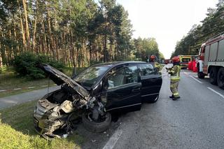 Koszmar pod Włodawą. Roztrzaskali się czołowo. Życie dwóch osób zgasło w jednej chwili