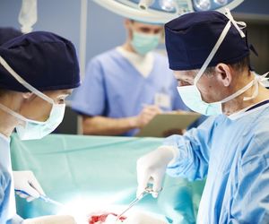 Rewolucja w ratowaniu życia? Płuco od świni nadzieją dla tysięcy pacjentów