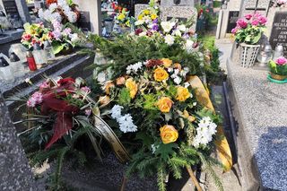 Śmierć w Gorcach. Krzysztofa użądliła pszczoła.