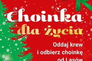 Lubelskie - Choinka dla Życia trafi do krwiodawców