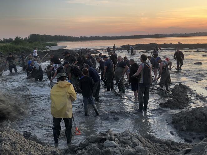 Poszukiwacze bursztynu w Rewie. Jak wyglądają poszukiwania złota Bałtyku? 