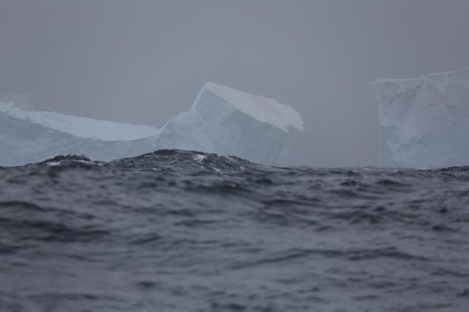 "SELMA" Rejs Trawers Shackletona - pierwsze góry lodowe, fot. SelmaExpeditions