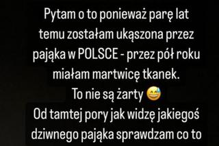 Joanna Opozda obawiała się pająka