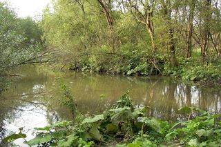 Uherce Mineralne - wieś na Podkarpaciu, która ma węgierską etymologię. Węgrzy rzeczywiście się tam osiedlali 