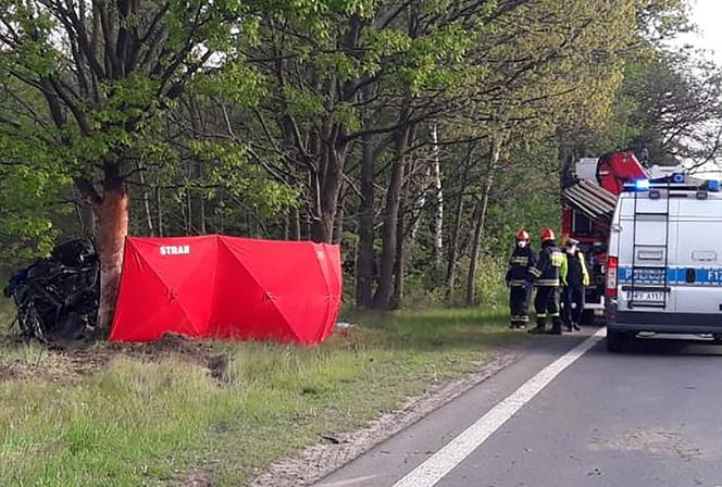 Uderzył w drzewo, a jego auto przełamało się na pół.