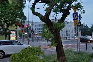 Powalone drzewa na Grochowie i podtopione ulice. IMGW ostrzega przed burzami z gradem [RADARY BURZOWE]