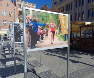 Wystawa zdjęć z Półmaratonu Grudziądz - Rulewo
