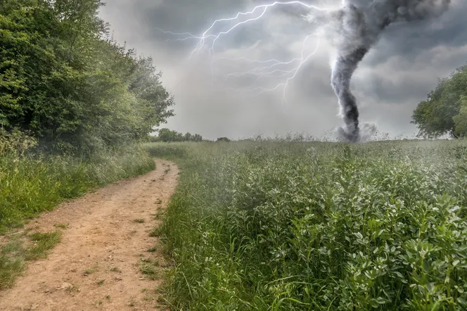 Niszczycielski żywioł zrywał dachy i łamał drzewa. To nie koniec!