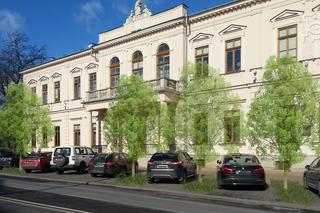 Lublin się zazieleni - wiemy już co zostanie zrealizowane w tegorocznym Zielonym Budżecie