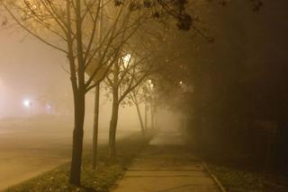 Wrocław otulony gęstą mgłą [ZDJĘCIE]