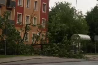 Burza na Opolszczyźnie. W Kędzierzynie-Koźlu wielkie zniszczenia
