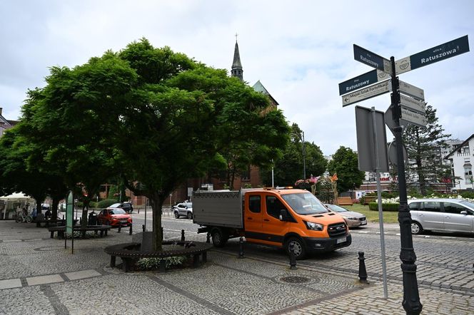 Cyfrowa inwentaryzacja drzew w Kołobrzegu