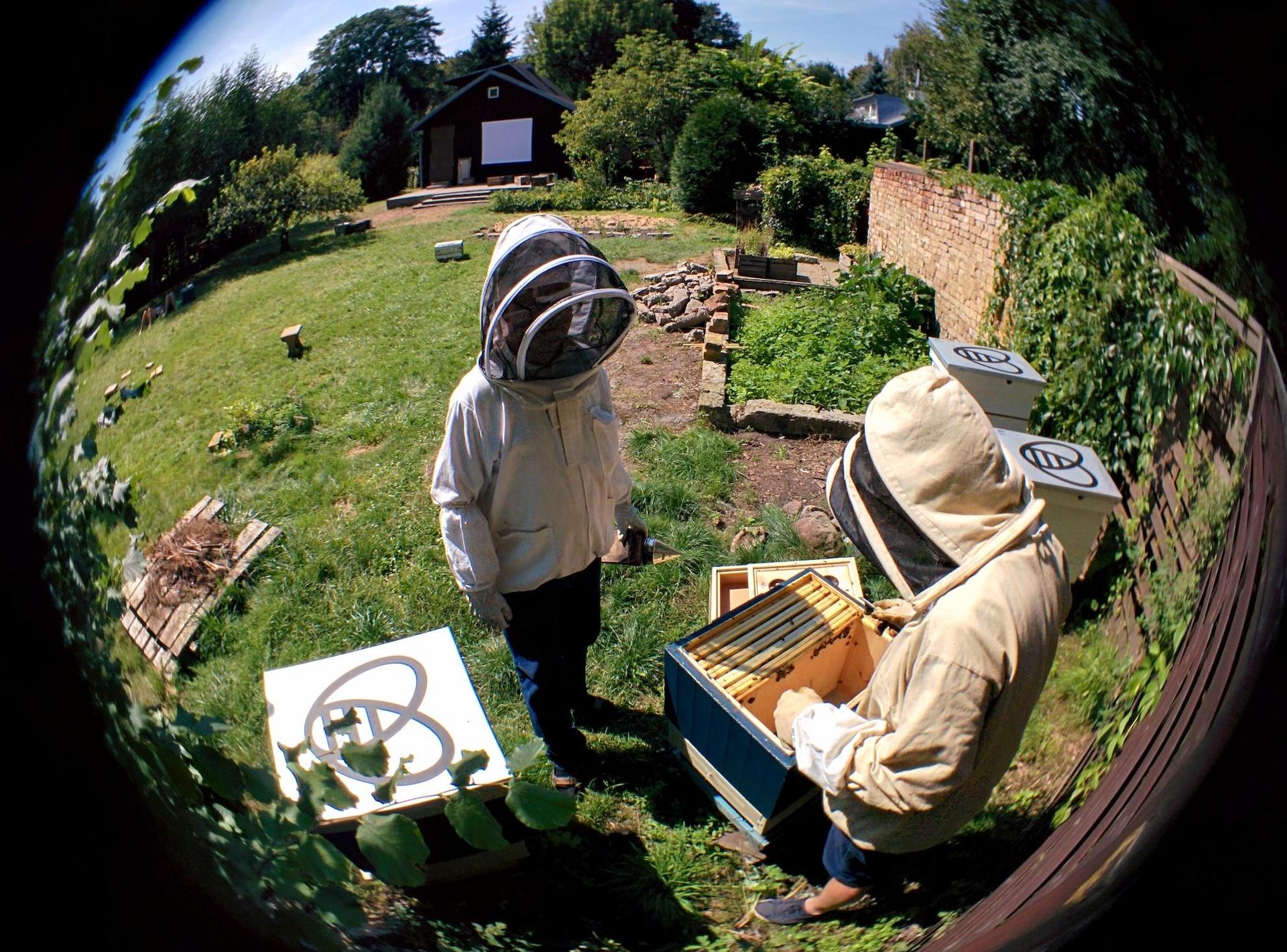 Otwarty Jazdów, 10 lat działalności