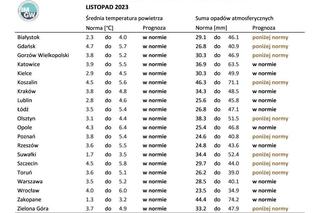 IMGW opublikowało długoterminową prognozę pogody. Jaka będzie tegoroczna zima w Polsce?