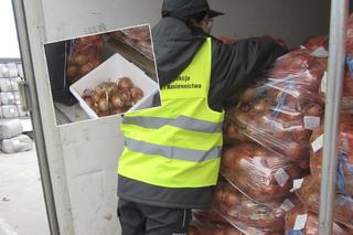 Ważny komunikat: Nie wróć z wakacji z pasażerami na gapę