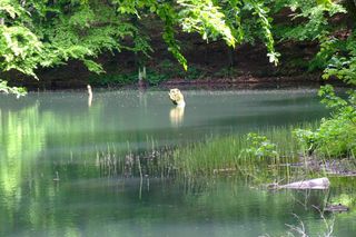 Jeziorka Duszatyńskie 