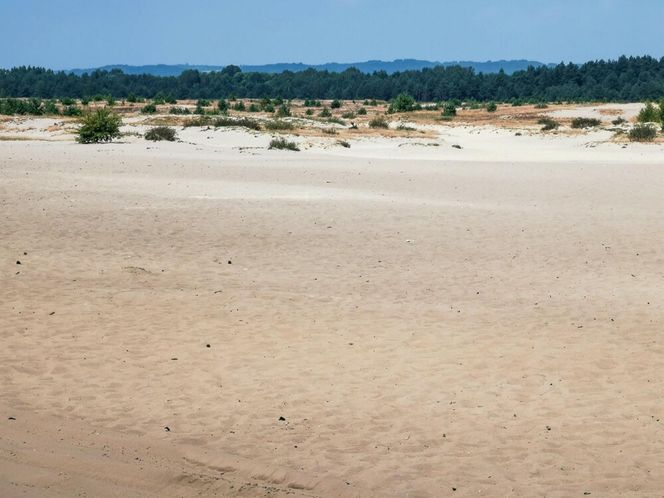 Pustynia Błędowska