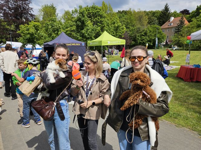 Festiwal Przyjaciół Zwierząt w Olsztynie. Park Centralny opanowały radosne pieski