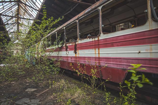 Bytom ma najpiękniejsze cmentarzysko pociągów w Polsce. Zobaczcie, jak tam jest klimatycznie