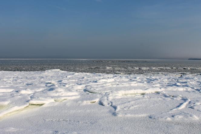 Niecodzienny widok nad Bałtykiem! Zobaczcie jak wygląda zimą [ZDJĘCIA,FILMY]