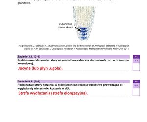 Matura 2025: biologia 9.05.2025. Arkusze CKE i odpowiedzi [Formuła 2023]