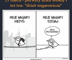 To najlepsze memy na Dzień Wagarowicza 2025. Pierwszy dzień wiosny na wesoło