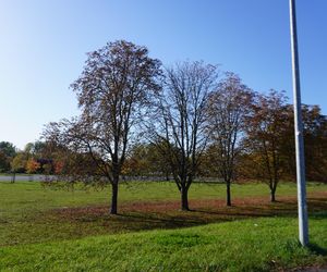 Park im. św. Jana Pawła II w jesiennych barwach