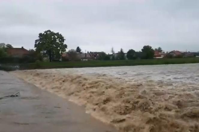 Dramatyczne nagranie prezydenta Żywca: Naszemu miastu grozi powódź! [WIDEO]