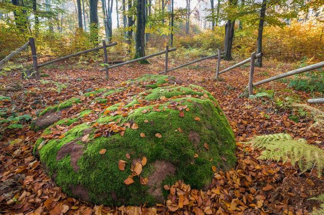 Ścieżka edukacyjna Góra Dylewska. Zobacz zdjęcia