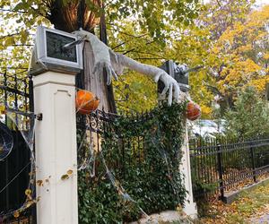 Willa na Jaśkowej Dolinie znów ozdobiona. Tym razem przechodniów zaskakują halloweenowe straszydła!