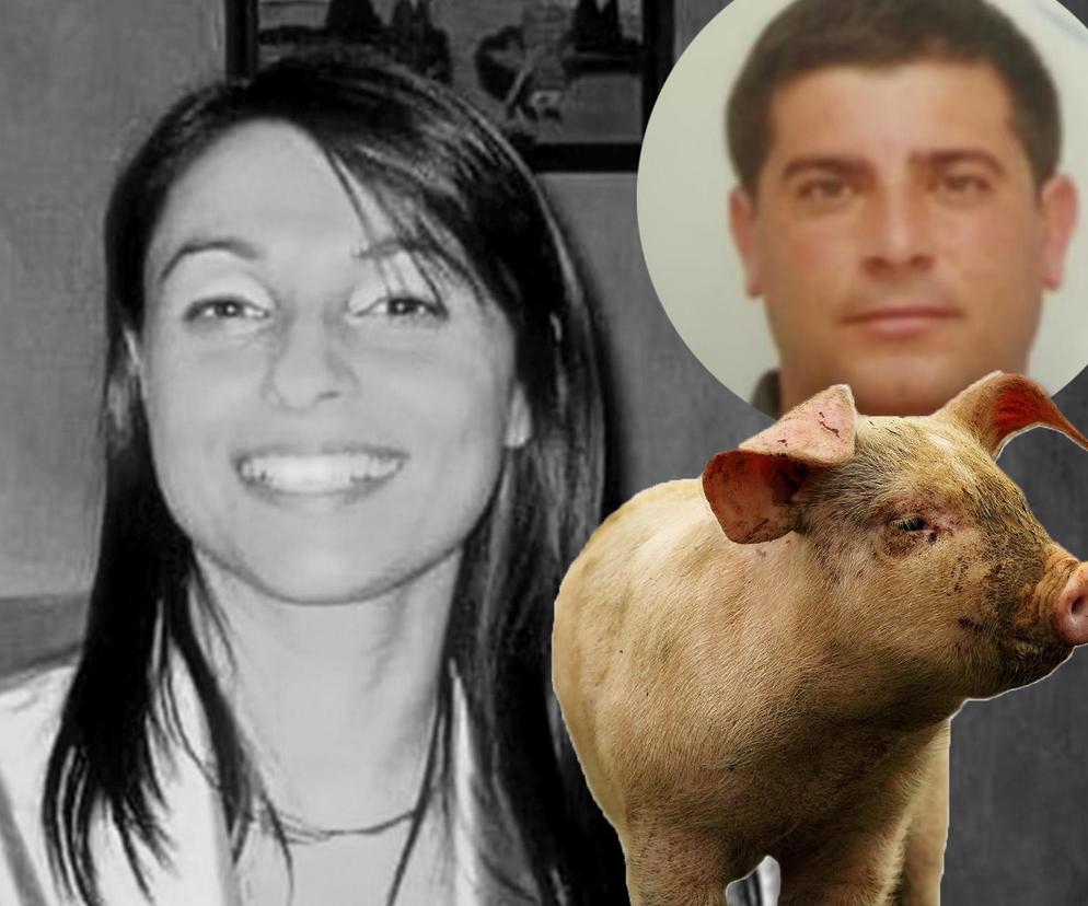 Mafia nakarmiła świnie piękną Marią! Motyw mordu szokuje