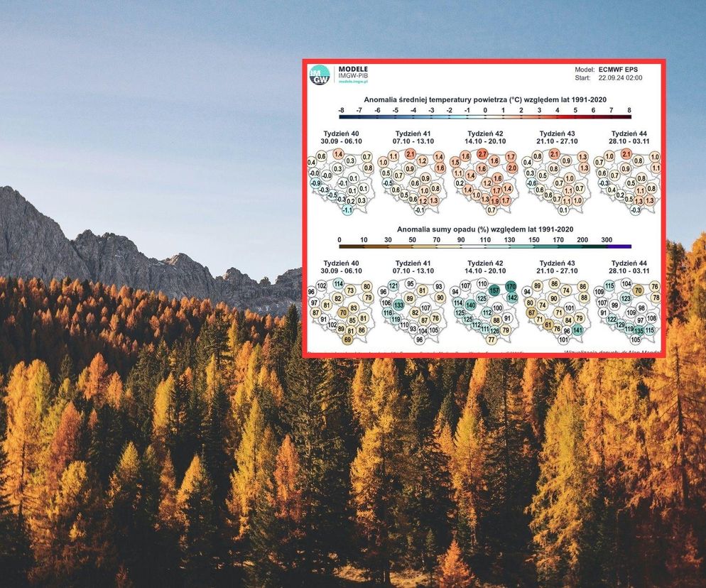 Jaka będzie jesień w tym roku? Czekają nas anomalie pogodowe!