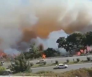 Fala upałów w Europie! Centra chłodzenia powstają w miastach