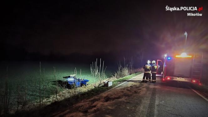 Mikołów. 20-latek roztrzaskał się fiatem na drzewie [ZDJĘCIA]