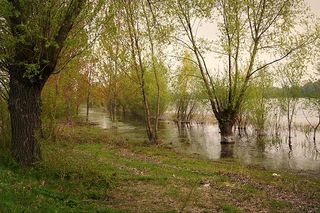 Jezioro Gopło i Nadgoplański Park Tysiąclecia