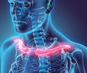 Obojczyk - budowa, funkcje, choroby