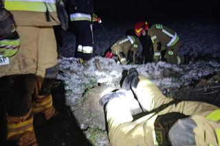 Szczeniaczki uratowane przez stowarzyszenie Zwierzoluby z Siedlec i strażaków