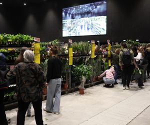 Festiwal Roślin w Katowicach przyciągnął tłumy miłośników zieleni. MCK przepełnione roślinnością