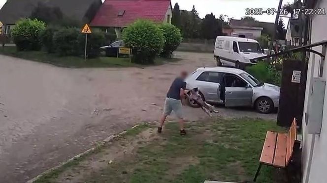 Złapał psa i rzucił nim o ziemię. Wstrząsające nagranie obiegło sieć