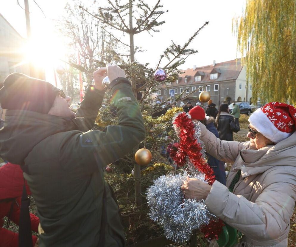 W Gdańsku rozbłysły pierwsze dzielnicowe choinki. Kiedy kolejne?