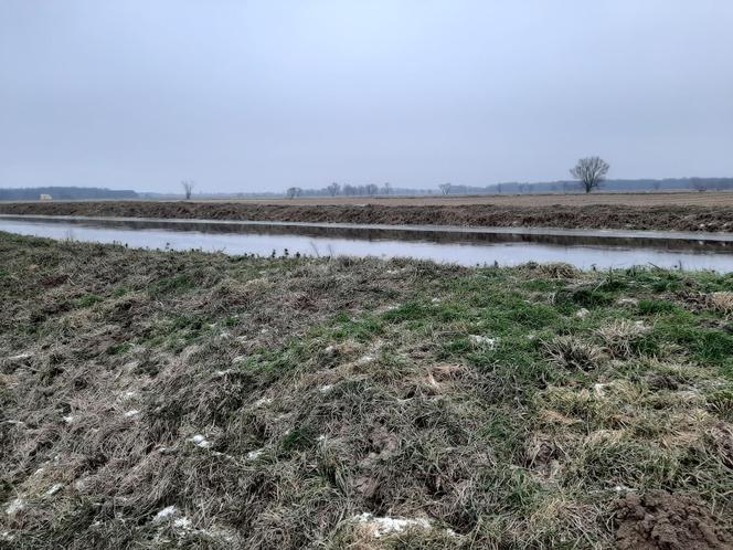 Alarm powodziowy pod Wrocławiem. Gwałtowne wzrosty poziomu wód na kilku rzekach